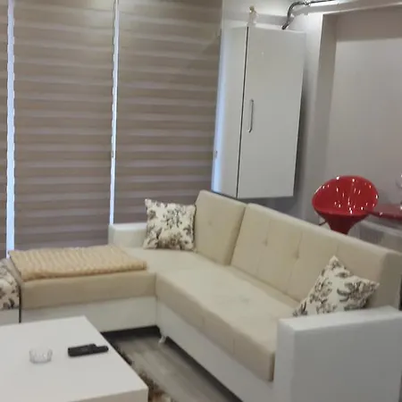 Dreamhouse Carsi *