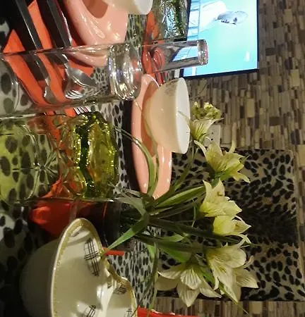 Dreamhouse Carsi